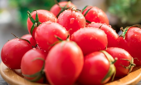 好用的肥料生物有機肥菌肥，怎么使用效果好？