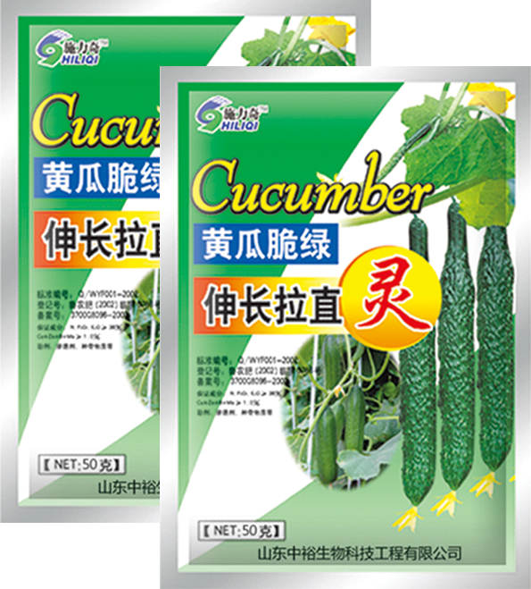 黃瓜脆綠伸長拉直靈